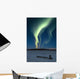 Scenic View Of Musher With Northern Lights Overhead Alaska Wall Mural