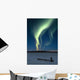 Scenic View Of Musher With Northern Lights Overhead Alaska Wall Mural