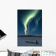 Scenic View Of Musher With Northern Lights Overhead Alaska Wall Mural