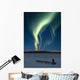 Scenic View Of Musher With Northern Lights Overhead Alaska Wall Mural