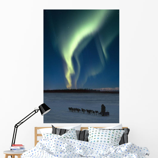 Scenic View Of Musher With Northern Lights Overhead Alaska Wall Mural