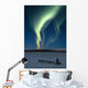 Scenic View Of Musher With Northern Lights Overhead Alaska Wall Mural