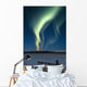 Scenic View Of Musher With Northern Lights Overhead Alaska Wall Mural