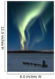 Scenic View Of Musher With Northern Lights Overhead Alaska Wall Mural