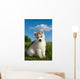 Siberian Husky Dog Puppy