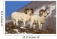 Two Full-curl Ram Dall Wall Mural