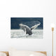 Two Full-curl Ram Dall Wall Decal