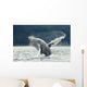 Two Full-curl Ram Dall Wall Decal