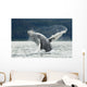 Two Full-curl Ram Dall Wall Decal