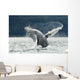 Two Full-curl Ram Dall Wall Decal