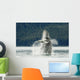 Humpback Whale Breaches Near Glacier Bay National Park Wall Mural
