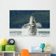 Humpback Whale Breaches Near Glacier Bay National Park Wall Mural