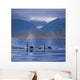 Composite Wall Mural