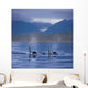 Composite Wall Mural
