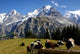 Switzerland Wall Mural