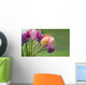 Colorful tulips in the garden Wall Mural
