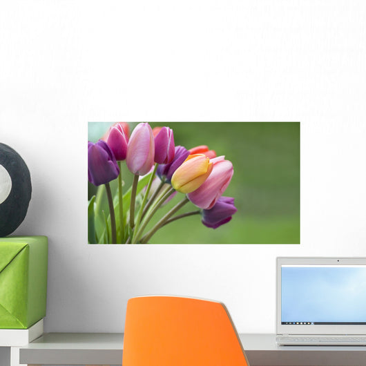 Colorful tulips in the garden Wall Mural