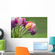 Colorful tulips in the garden Wall Mural