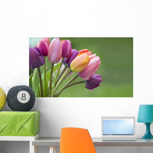 Colorful tulips in the garden Wall Mural