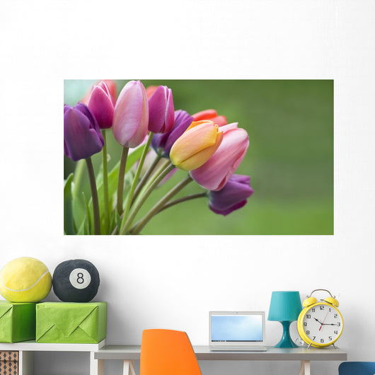 Colorful tulips in the garden Wall Mural