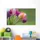 Colorful tulips in the garden Wall Mural