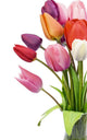 Beautiful tulips in vase Wall Decal