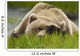 Brown Bear Resting On Sedge Grass With Paw Over Eyes Wall Mural