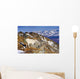 An Adult Dall Sheep Ram Standing Wall Mural
