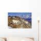 An Adult Dall Sheep Ram Standing Wall Mural