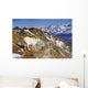 An Adult Dall Sheep Ram Standing Wall Mural