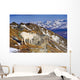 An Adult Dall Sheep Ram Standing Wall Mural