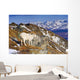 An Adult Dall Sheep Ram Standing Wall Mural
