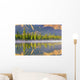 Forest Reflects Wall Mural