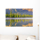 Forest Reflects Wall Mural