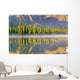 Forest Reflects Wall Mural