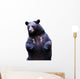 Black Bear