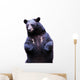 Black Bear
