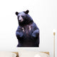 Black Bear