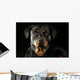 Rottweiler Wall Mural