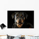 Rottweiler Wall Mural