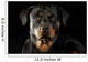 Rottweiler Wall Mural