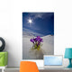 Crocus Flower Peeking Up Through The Snow Wall Mural