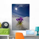 Crocus Flower Peeking Up Through The Snow Wall Mural