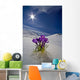 Crocus Flower Peeking Up Through The Snow Wall Mural