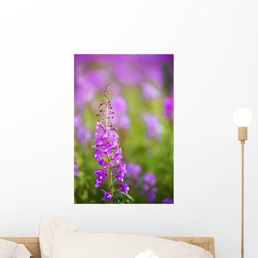 Fireweed Detail Wall Mural