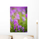 Fireweed Detail Wall Mural