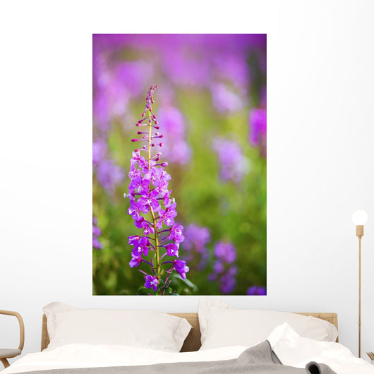 Fireweed Detail Wall Mural