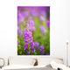 Fireweed Detail Wall Mural