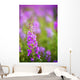 Fireweed Detail Wall Mural