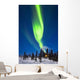 Aurora Over Cabin Wall Mural